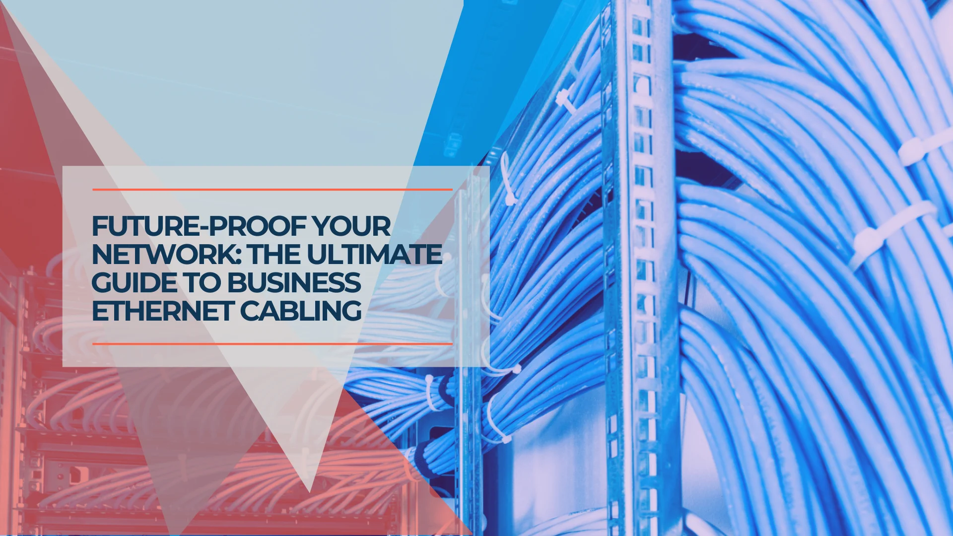 Best Ethernet Cables 2026: Cat6, Cat6A, and When You Need Shielded
