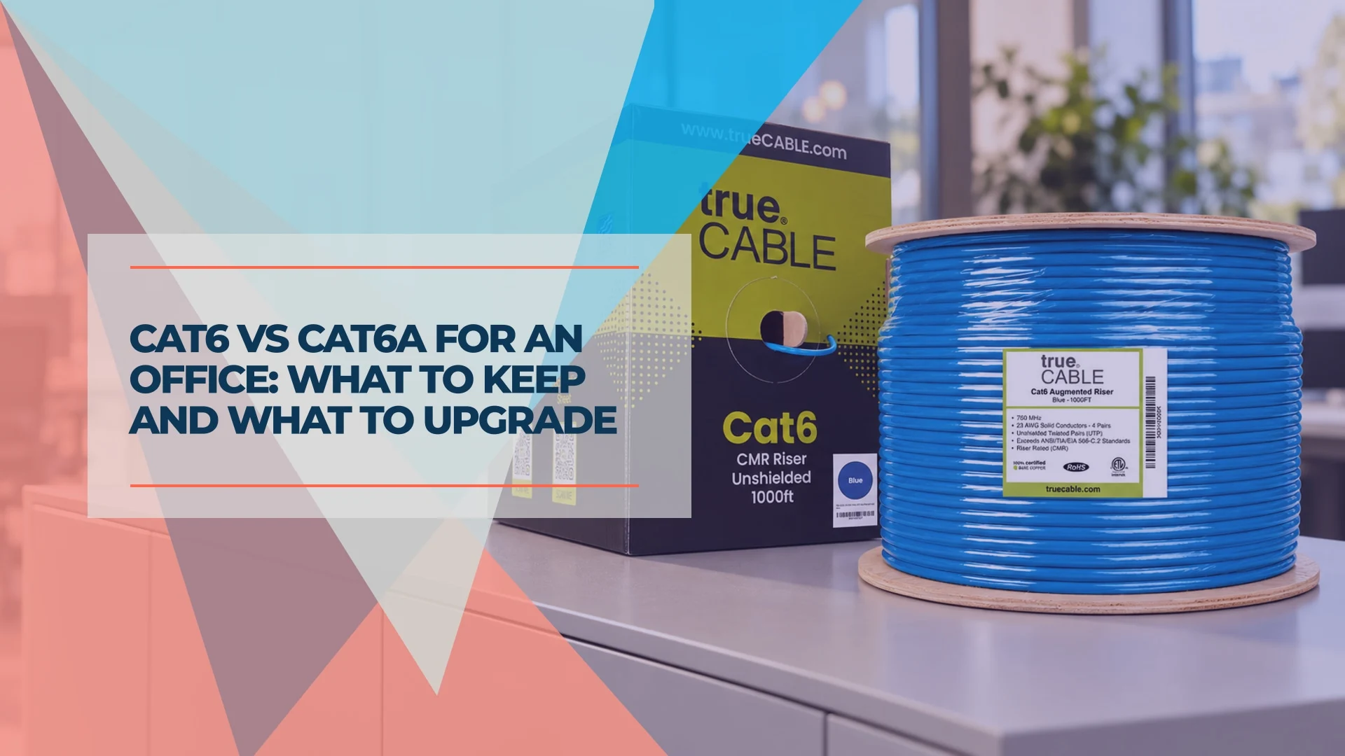 Cat6 vs Cat6A for an Office: What to Keep and What to Upgrade