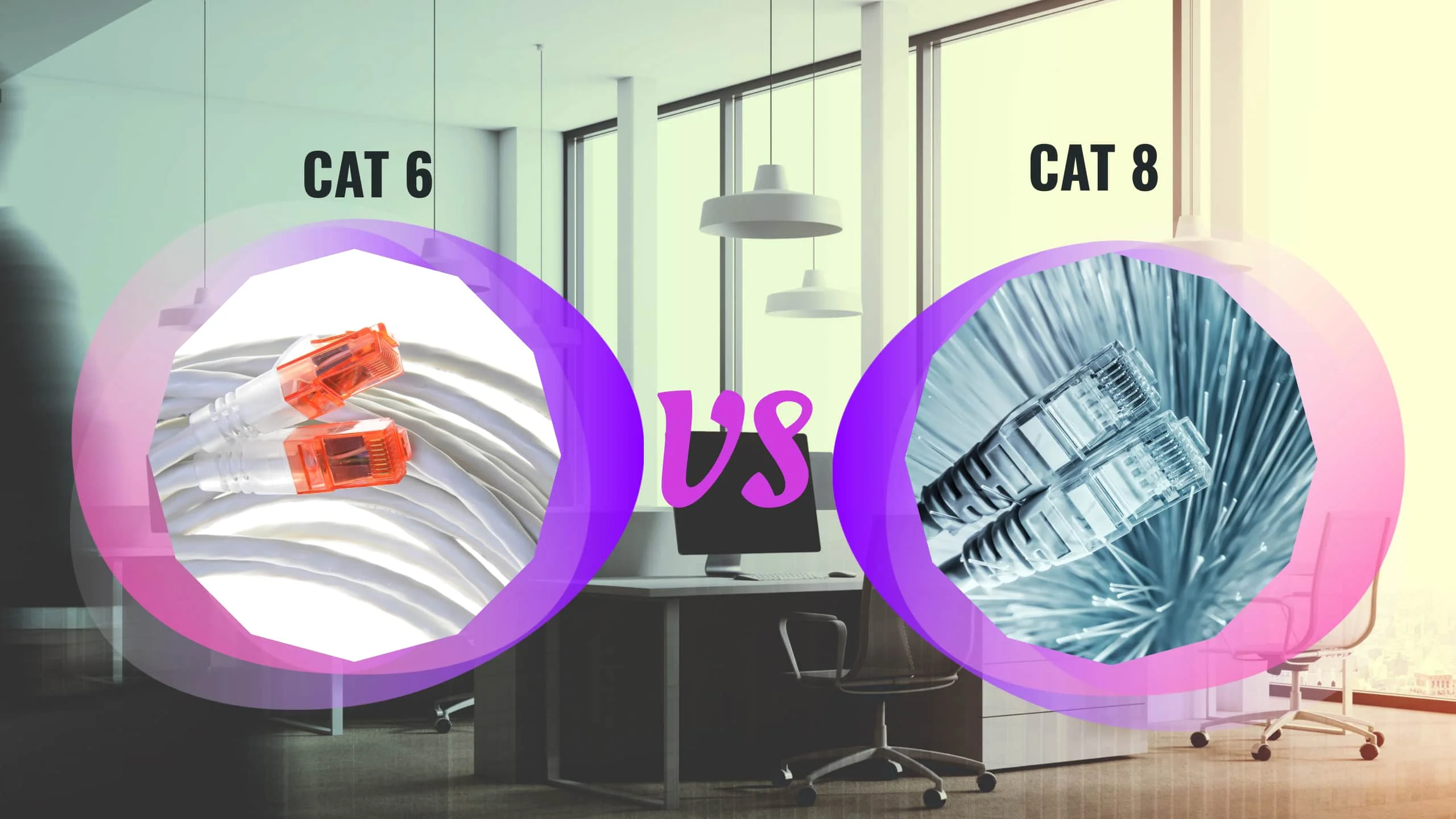Cat6 vs. Cat8: Which is Right for Your Office Network?