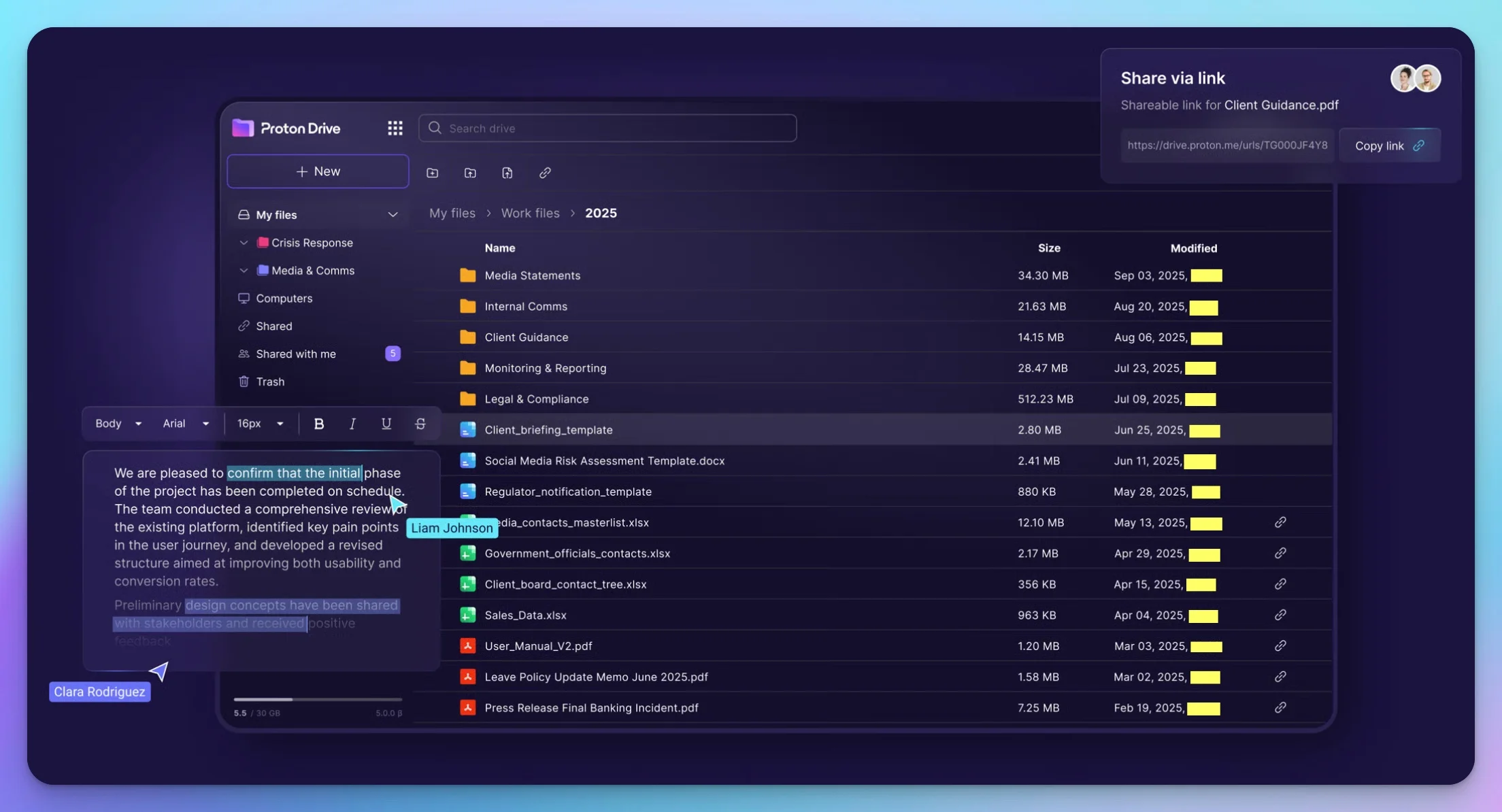 Proton Drive business interface showing encrypted file storage and document collaboration