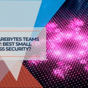 Malwarebytes Teams Review Best Small Business Security
